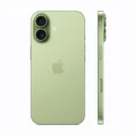 IP17 Green