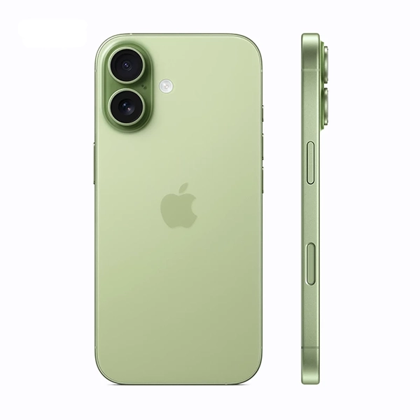 IP17 Green